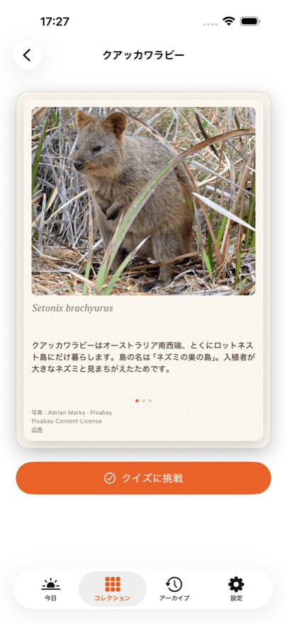 裏面には、写真、3つの豆知識、学名、写真のクレジット。
